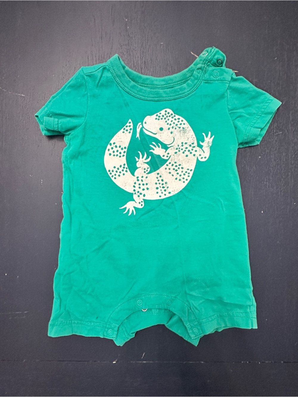 Tea Collection Lizard Romper